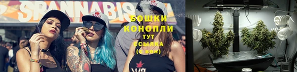 шишки Алексеевка