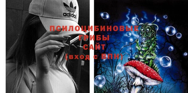 дживик Алексин
