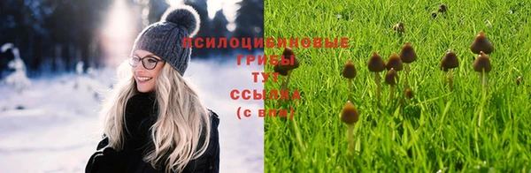 шишки Алексеевка