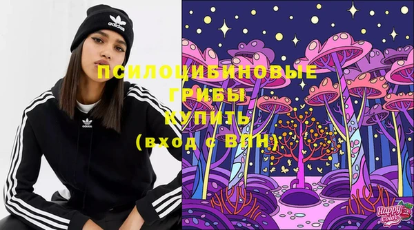 шишки Алексеевка