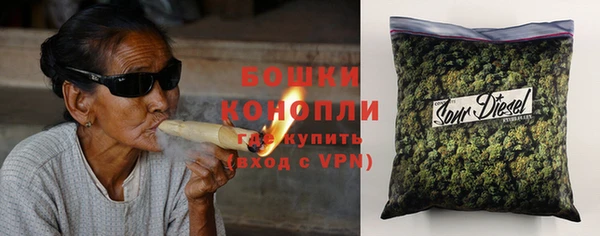 шишки Алексеевка